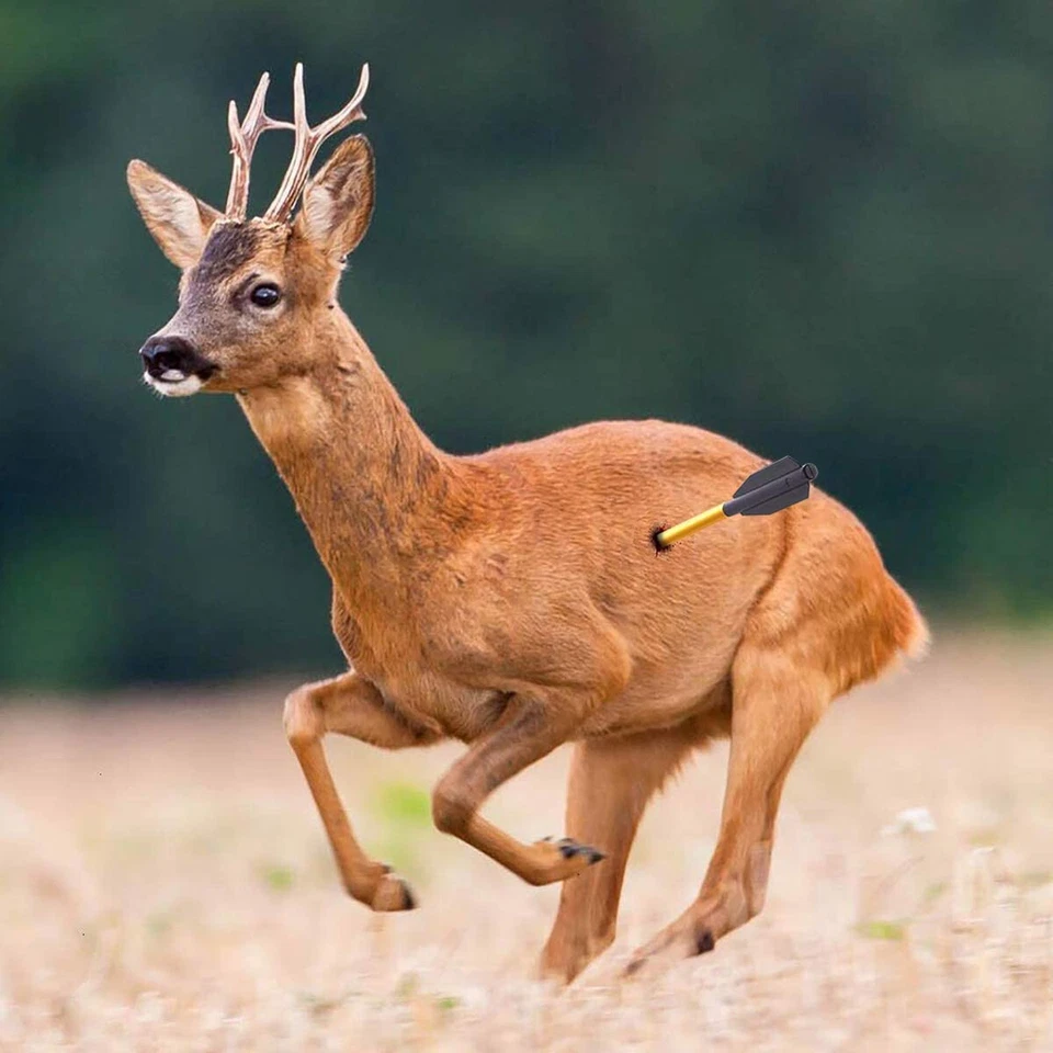 80 фунтов охотничий самовзвод пистолет арбалет 225 + FPS захват лук все черный - Изображение 3 из 3