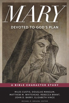 Devoted to Gods Plan: Devoted to God's Plan by Vince (English) Paperback Book
