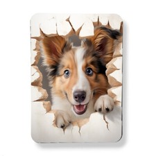 Sheltie Magnet Popin' Out Original Graphic Art Print Sheltie Family Gift Magnet