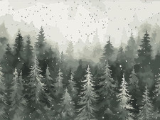 Christmas Paint by Numbers for Adults Beginner, Winter Paint by Number Kits on C