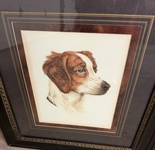 Danchin Brittany Spaniel Collection
