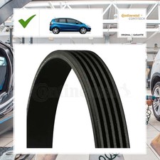 Continental Ctam Keilrippenriemen HONDA JAZZ III (GE_, GG_, GP_, ZA_) 1.3 i