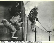 1983 Press Photo Ted Giannoulas Chicken writes nasty note to the Gears on glass.