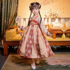 Kid Girl Chinese Sheer Pink Dress Tang Suit Floral Fairy Ancient Stage Cosplay