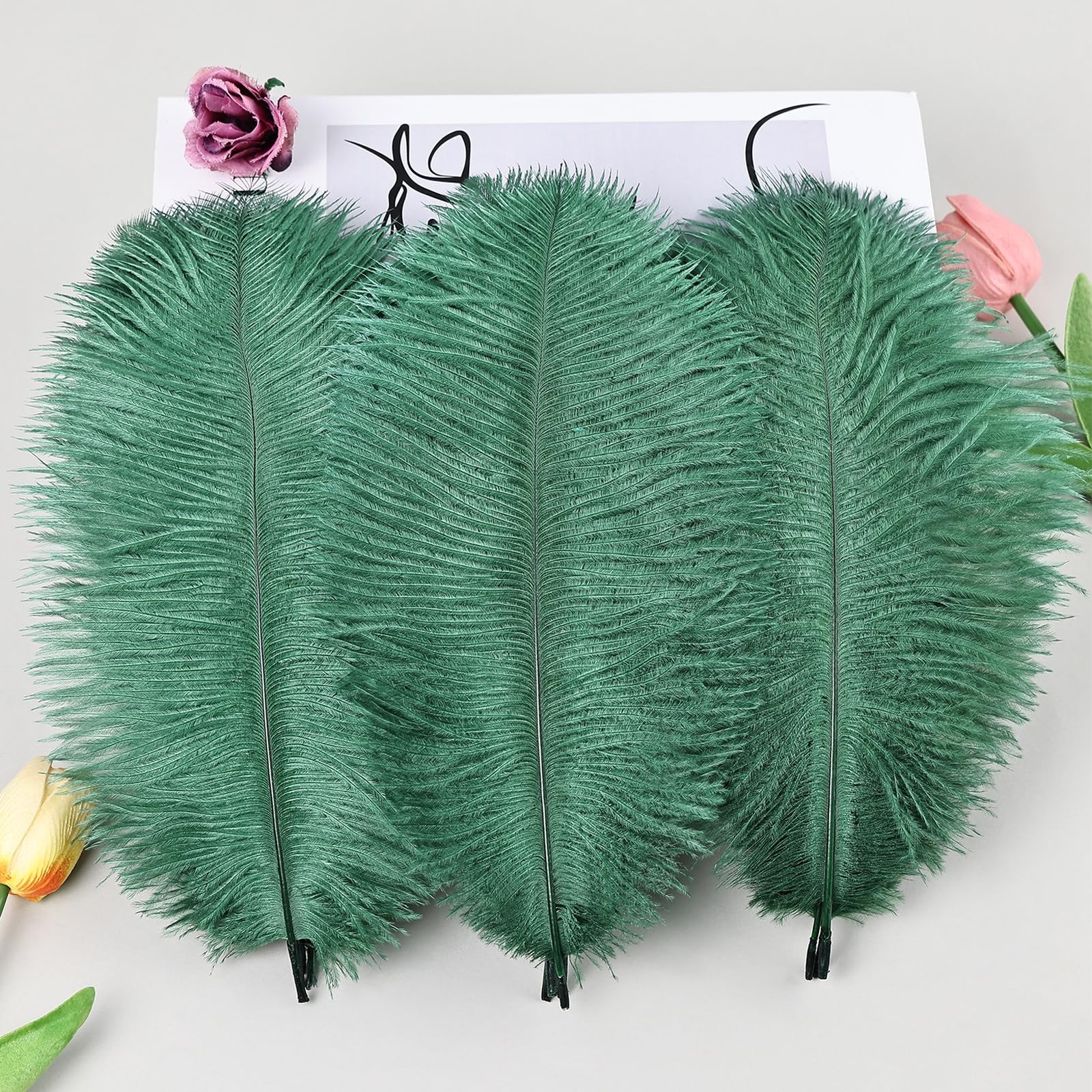 Blackish Green Ostrich Feathers 12pcs Natural Bulk 8-10Inch 20cm-25cm for Cra...