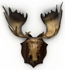 VTG Moose Head Wall Mount Hanging Statue Wildlife Figurine Plastic Sculpture