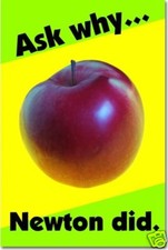 Ask Why NEWTON Did - SCIENCE - School Classroom Motivational NEW POSTER