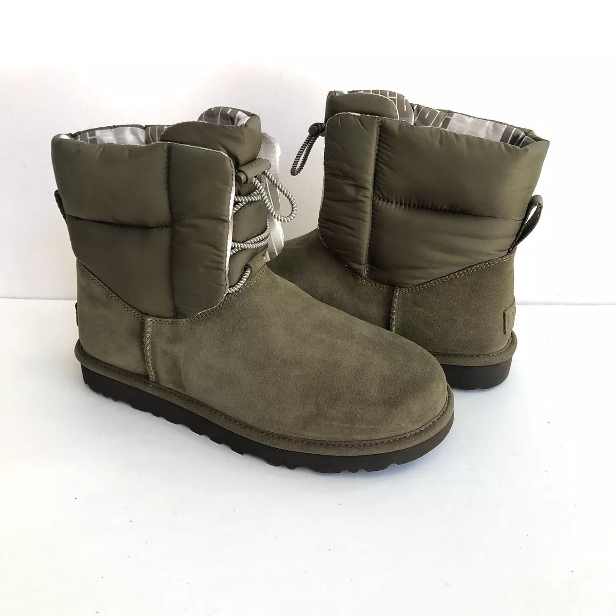 Spruce uggs discount