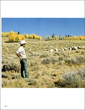 1971 Vintage Print Galena Summit Idaho Rancher Sheep Shephard Aspen Snake River