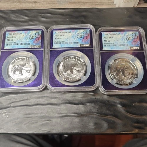 SET OF 3 = 2018- Canada Silver Polar Bear $2 Coin- NGC Graded MS69 - PREMIUM 🔥