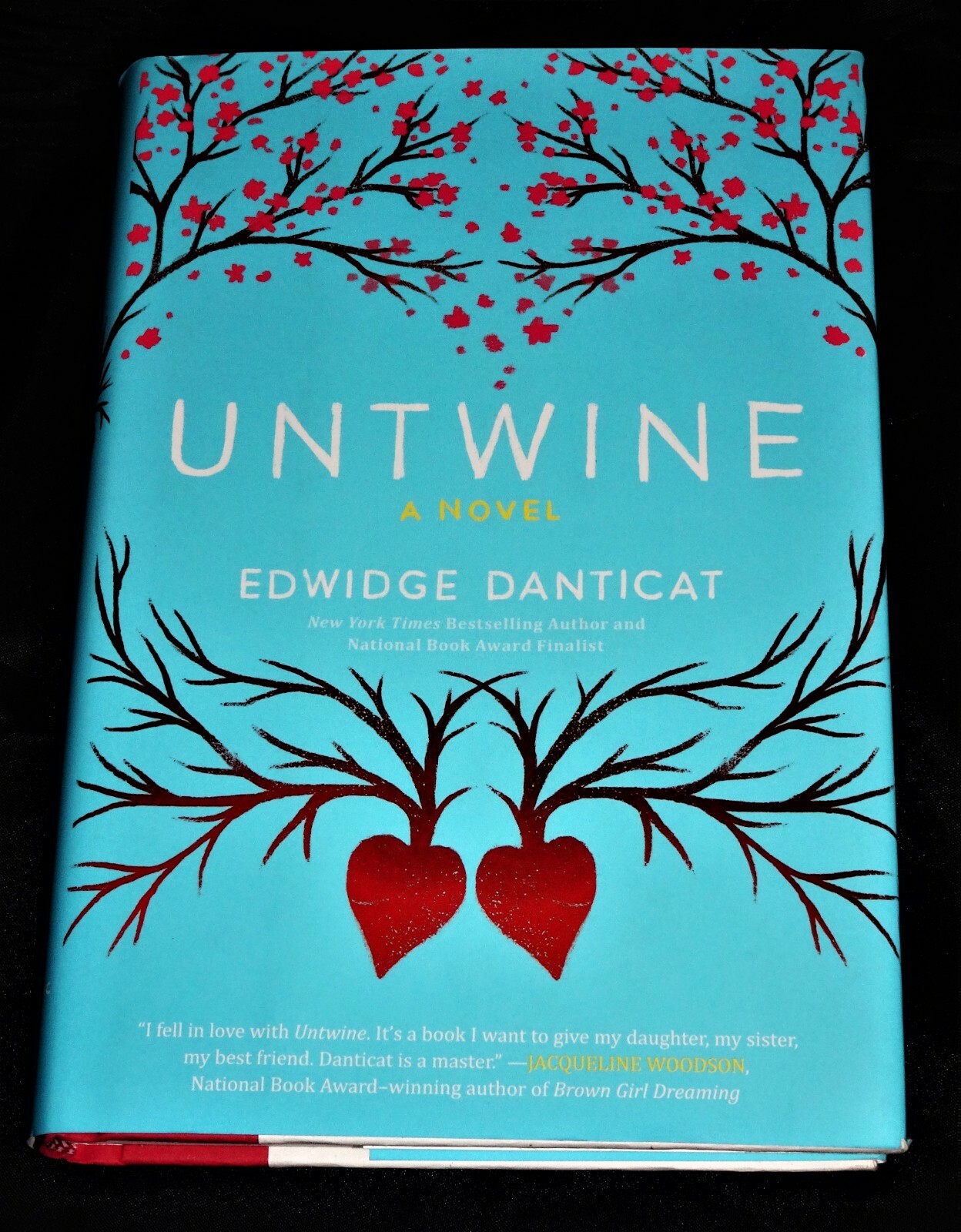 Untwine A Novel By Edwidge Danticat 2015 Hardcover For Sale Online Ebay