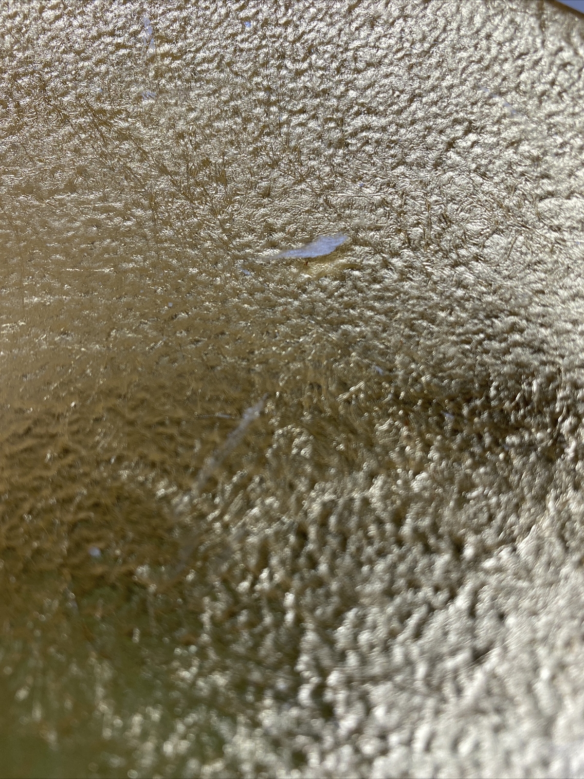 Picture 8 of 8