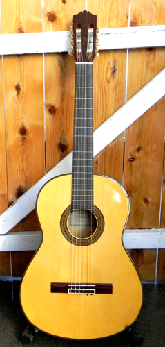 Yamaha CG171SF Nylon String Flamenco Guitar with Crossrock Padded back pack  case | eBay