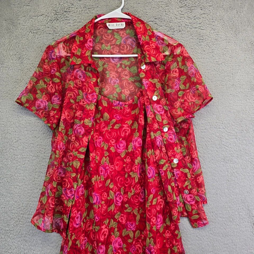 Miss Dorby Dress Suit Womens S/M Rose Babydoll Lined Dress Chiffon Cottagecore - Image 3 of 4