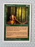 MTG Magic the Gathering Nature's Lore (316/460) Fifth Edition LP