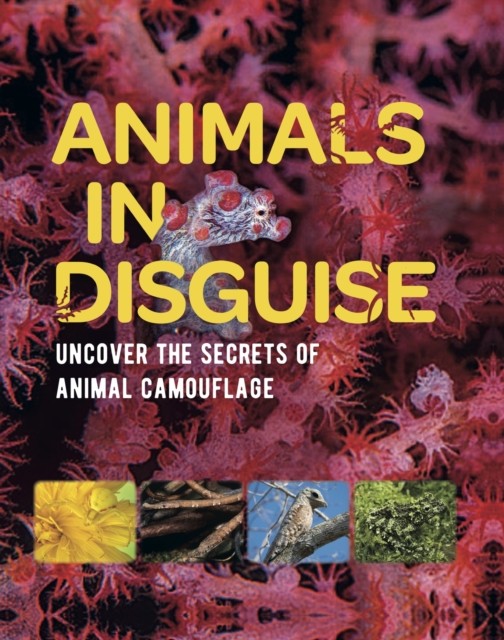 Animals in Disguise by Michael Bright (Paperback Book)