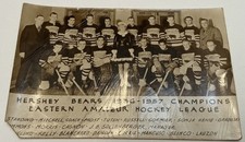 Vntg Hershey Bears 1936 - 1937 Champions Eastern Amateur Hockey League Postcard
