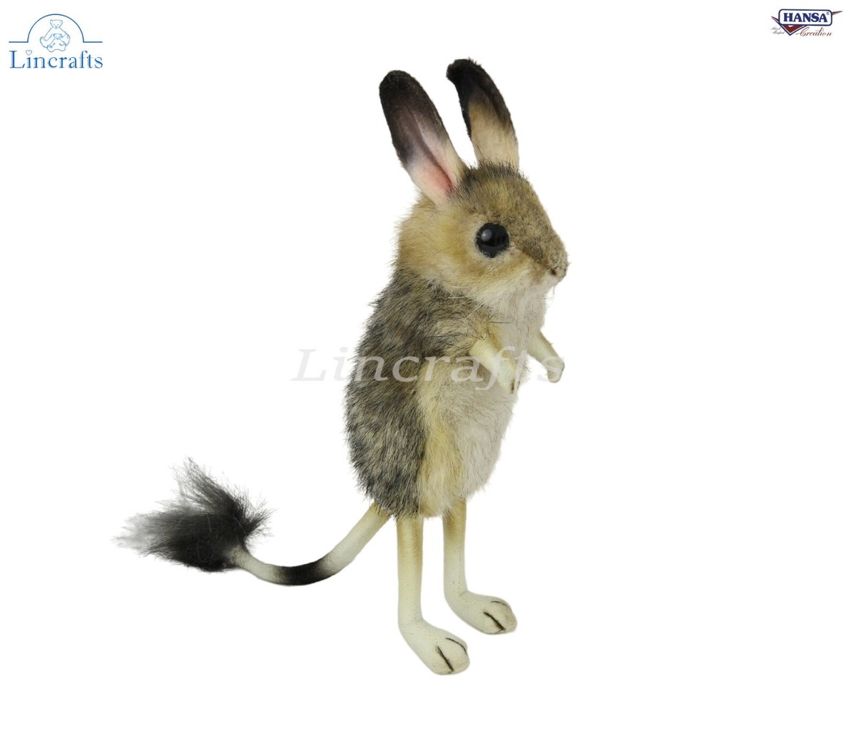 Jerboa ♡  jerboa Help Homework | Kids Britannica | Students - ぬいぐるみ