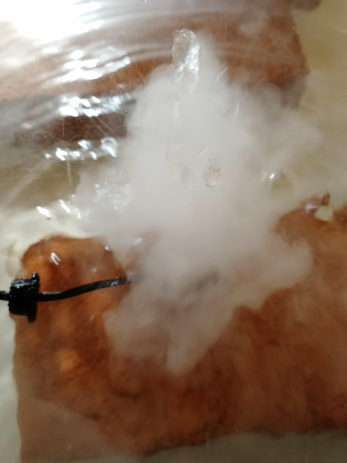 Nebler, UltraschallZerstäuber, Vernebler, für Brunnen, Teich, Aquarium