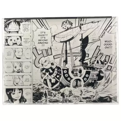 Funko Pop Luffy With Thousand Sunny Custom Acrylic Pop Ride Case