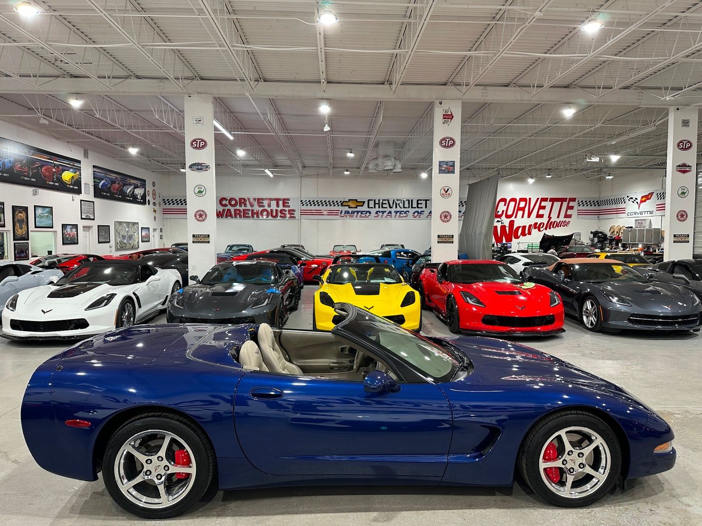 2004 [19U] LeMans Blue Chevrolet Corvette   | C5 Corvette Photo 7