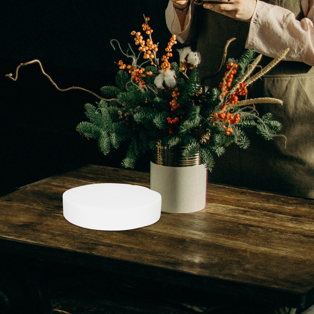 3 Pcs Foam Disc Flower Arranging Supply Polystyrene Shapes Crafts