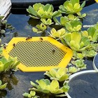 2X 3D Printed Floating Bee Island Bee Waterer,Printed Floating Bee Island Cup