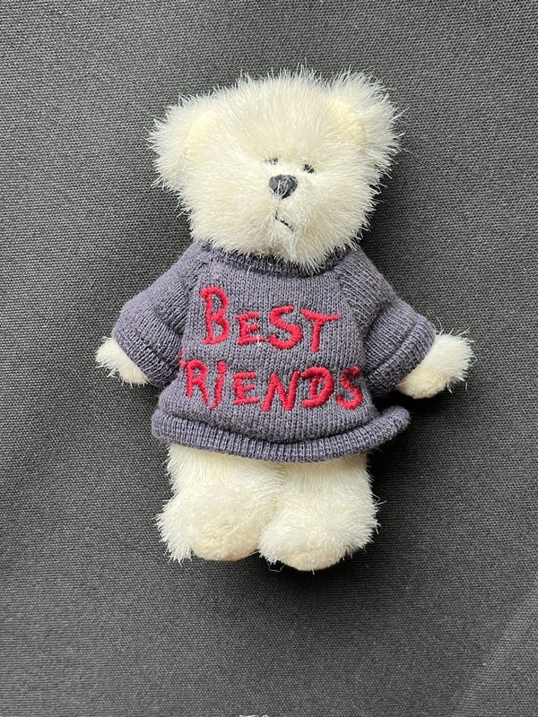 Boyds Bears Mini Messages Teddy "Best Friends"
