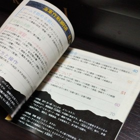 Sega Saturn Game Software SS Koei KOEI Admiral's Decision II Admiral's Decision