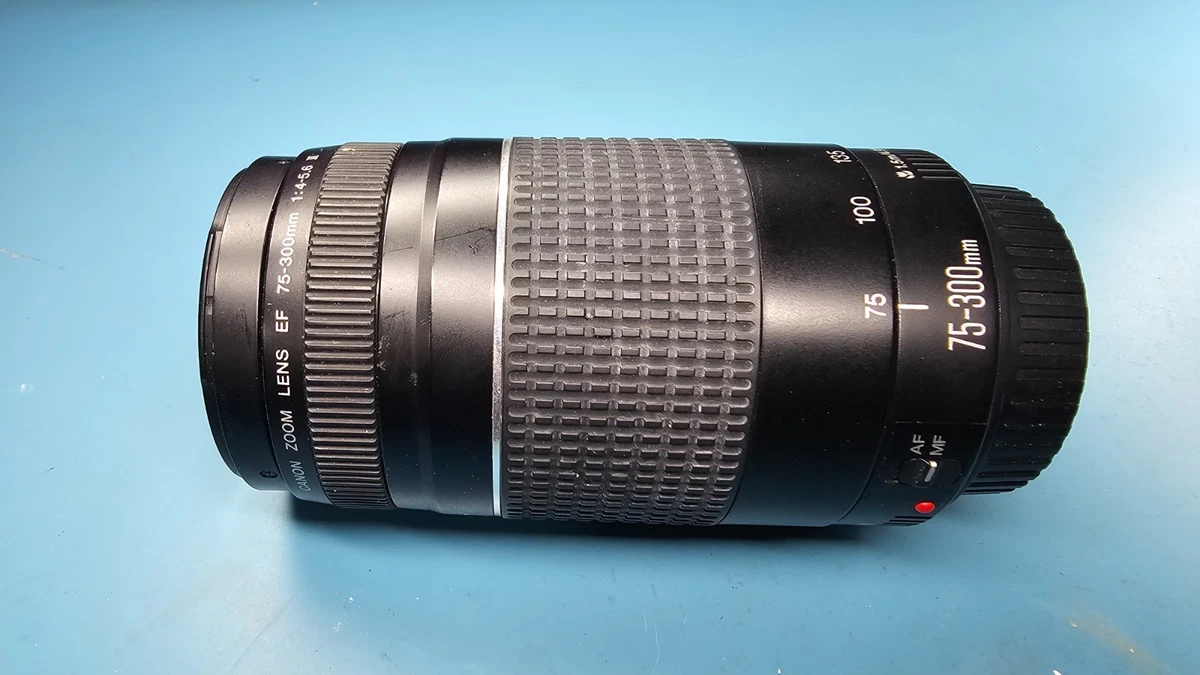 デジタル一眼 canon kiss x9/EF 35-80mm  / EF 75-300mm canon kiss x9/EF 35-80mm / EF 75-300mm 【公式通販】
