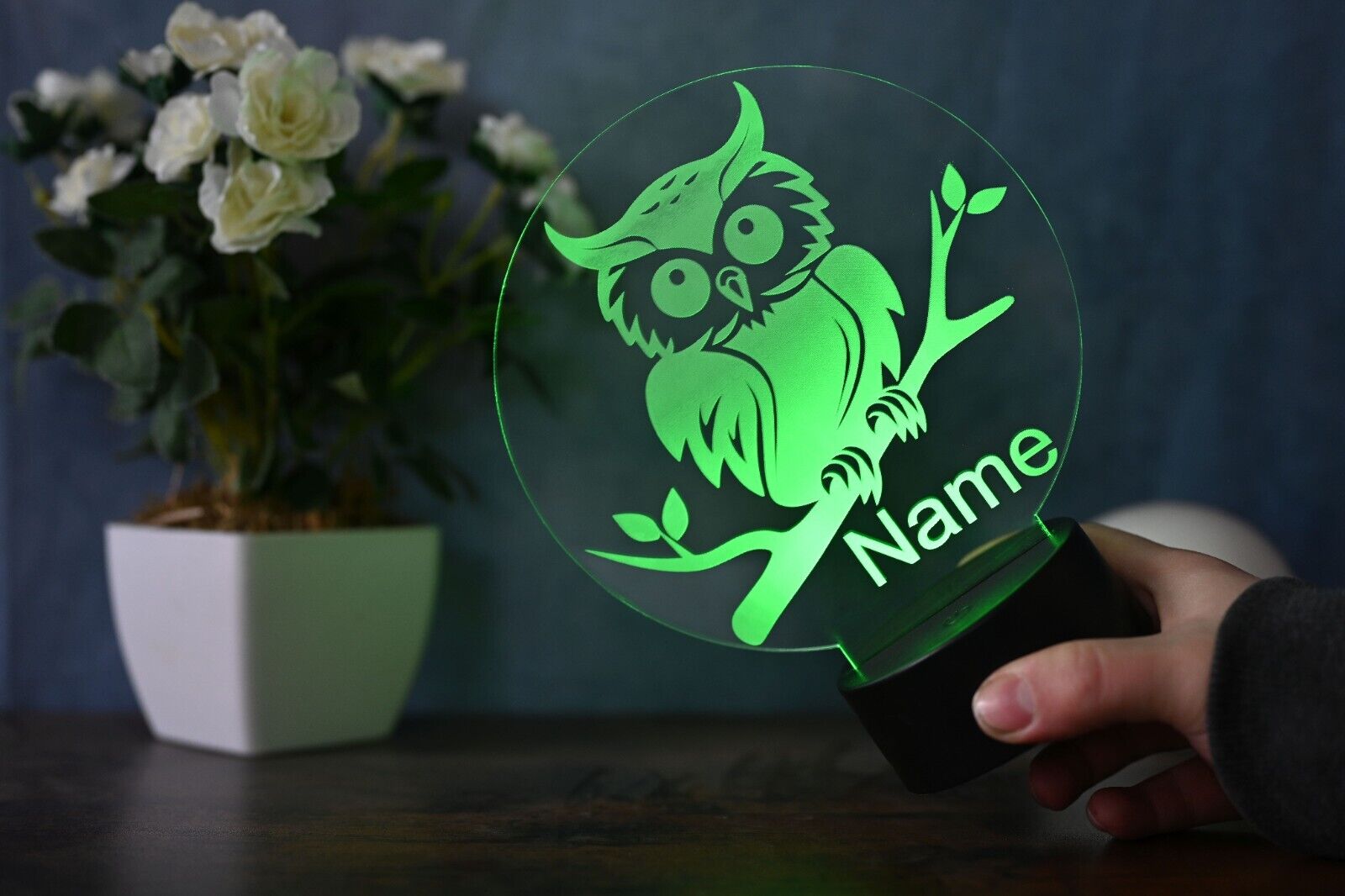 Personalisierte Eulen Lampe als LED Dekoration, Geschenk Idee für Eulenliebhaber