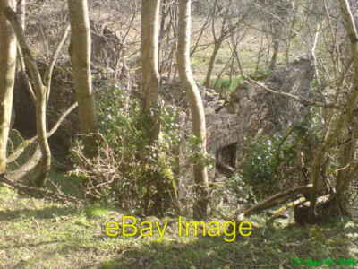 Foto 6x4 Eine weitere Ruine der neuen Mühle am Brandy Brook Gignog c2008
