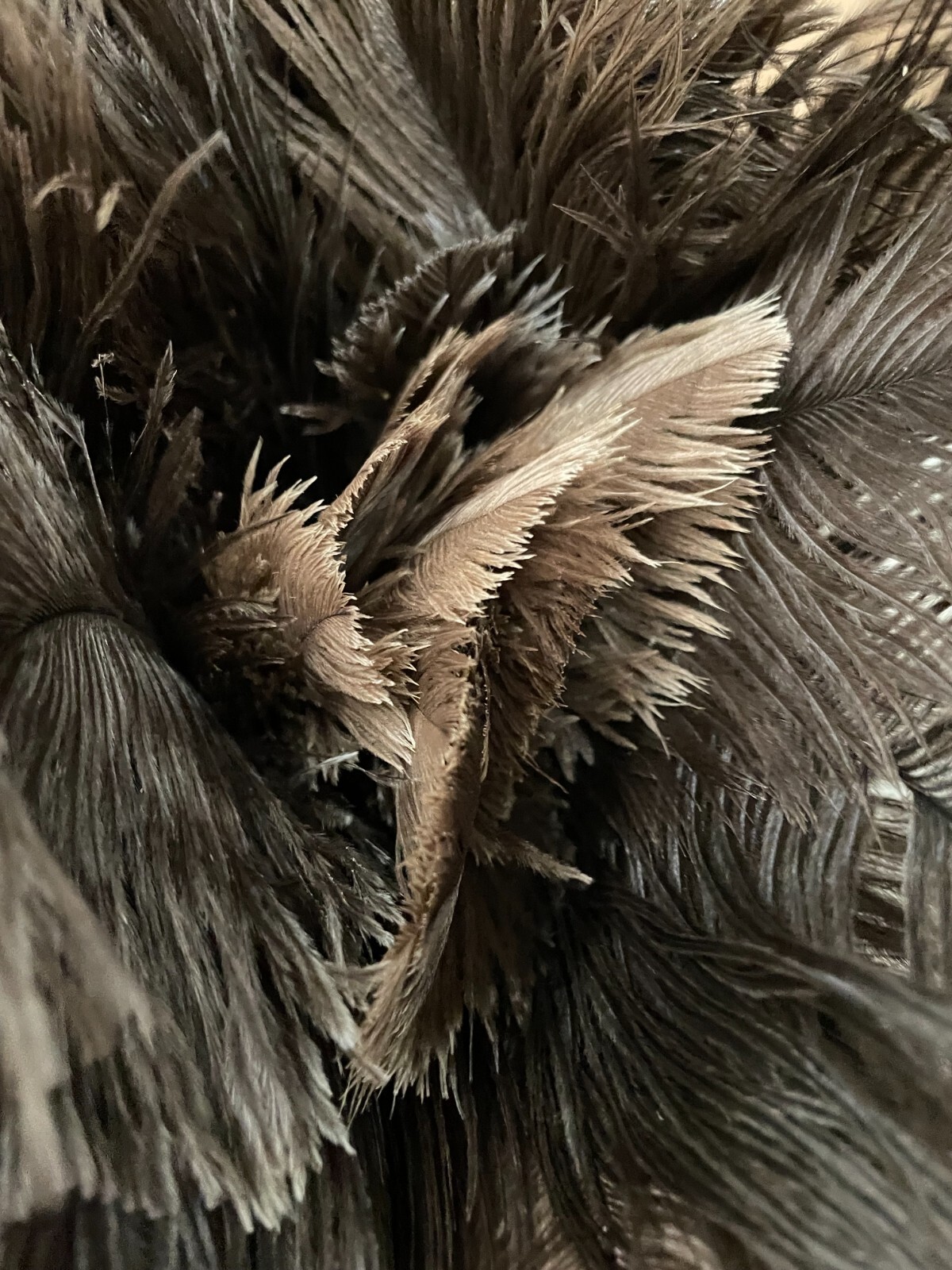 2x EverClean Ostrich Feather Dusters