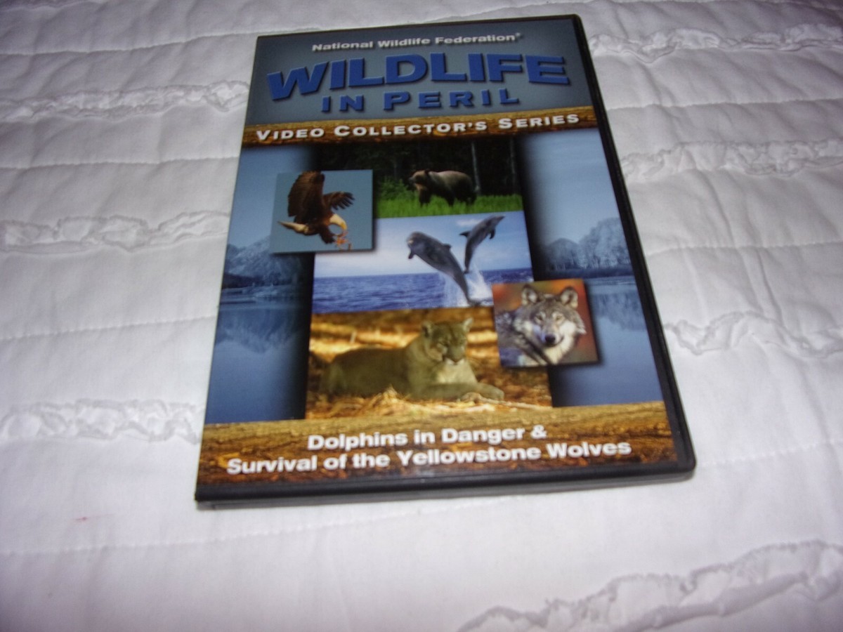 その他 Yellow Footed Wallaby [DVD] Amazon.co.jp: Yellow Footed Wallaby [DVD] : DVD