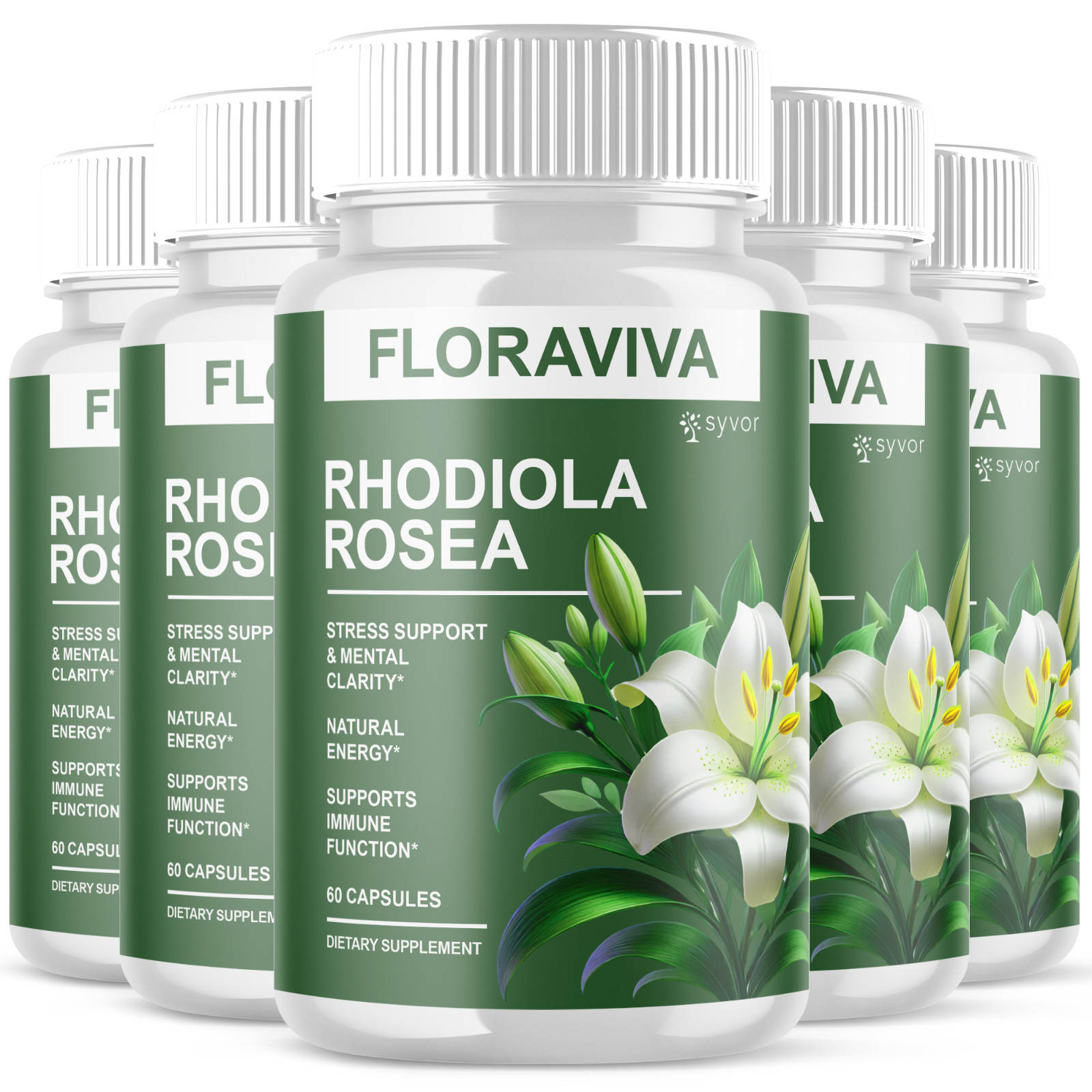 (5 Pack) Floraviva Nootropic Formula Brain Supplement Flora Viva 300 Capsules