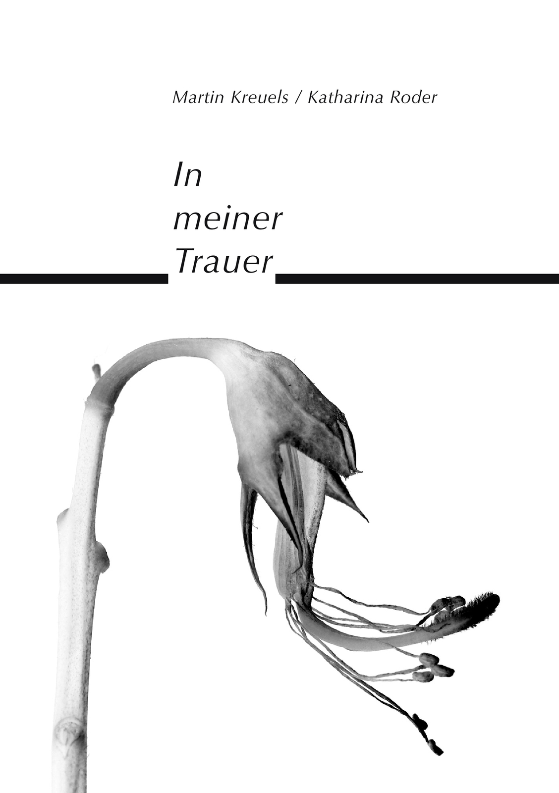 Thumbnail - In Meiner Trauer (buch)