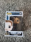 Funko Pop! Harry Potter: Remus Lupin #45 Collectible Figure