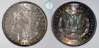 1886 Morgan Dollar NGC MS 66  w/CAC - Rainbow Tones (See Video)