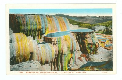 YELLOWSTONE PARK-MAMMOTH HOT SPRINGS TERRACES-#11148-W/B-HAYNES(#214*)