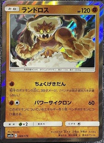 Landorus Holo Rare - 069/173 - Tag Team GX All Stars SM12a Pokemon 2019