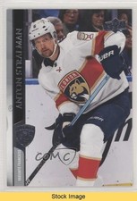 2020-21 Upper Deck French Anton Stralman #333 READ 0a7