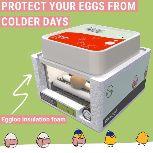 Incubadora de huevos fácil de usar para todas las edades - 12 huevos, control de humedad y vela - Imagen 9 de 10