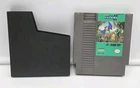 Adventure Island 2 - Nintendo Entertainment System