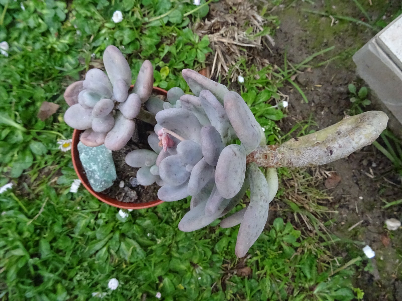 Picture 9 of 21