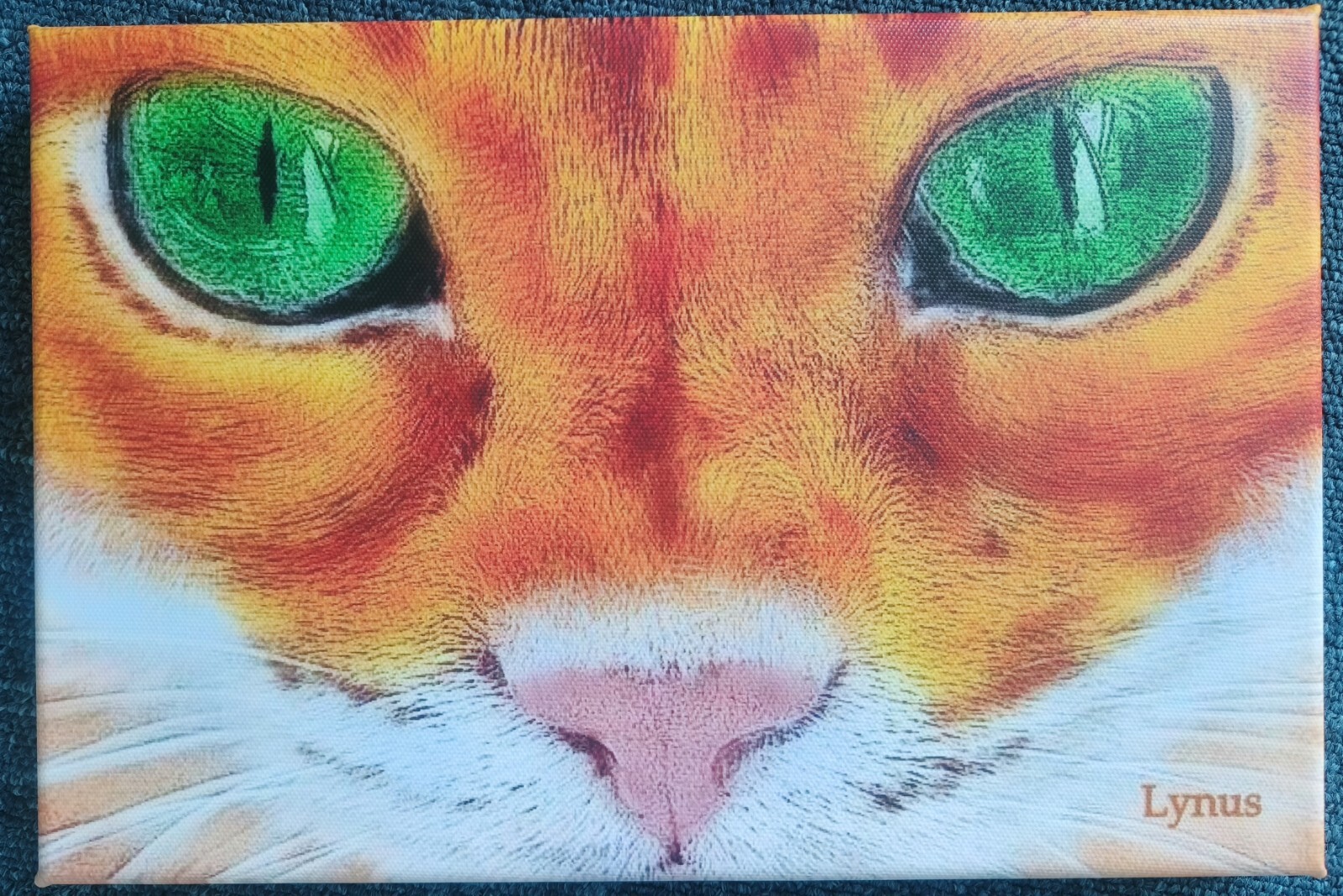 Foto 1 di 1