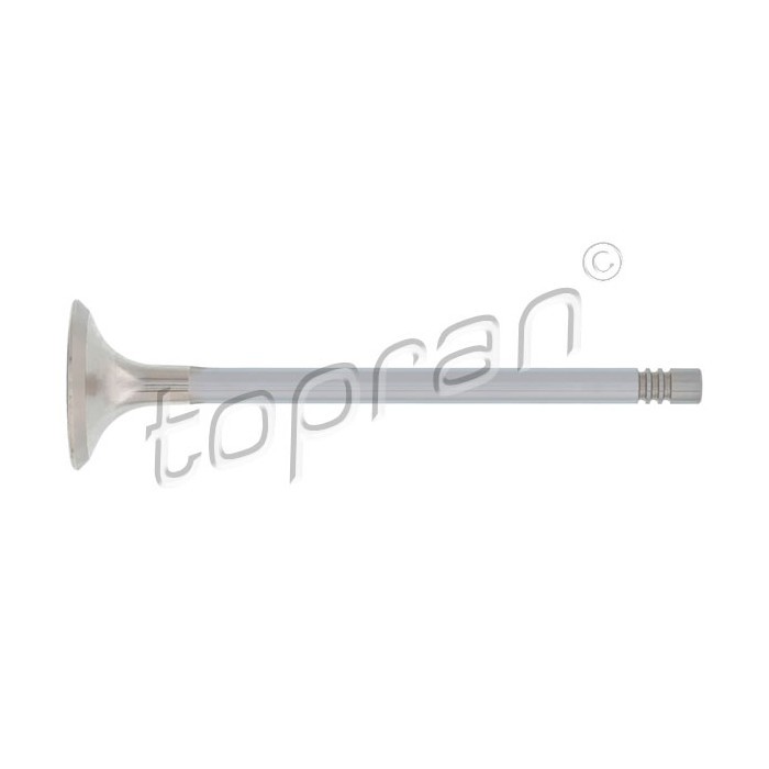 Soupape d'échappement pour Seat Alhambra et Skoda Octavia II motorisation 2.0 TFSI 06D109611H
