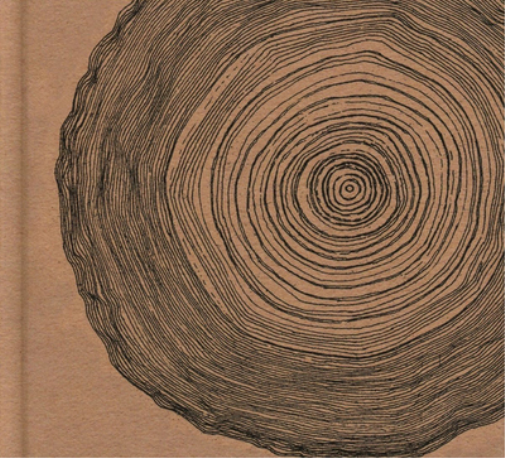 Eskimeaux Year of the Rabbit (CD) Deluxe  Album