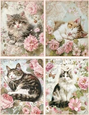 8 CATS KITTEN SHABBY CHIC ROSES FLOWERS GLOSSY FOLD OUT BLANK CARD ENVELOPES
