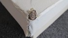 Bild 3 von 6