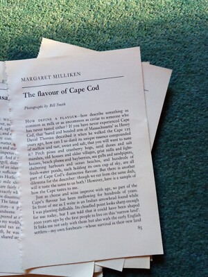 El87 Ephemera 1973 Artikel Flavour of Cape Cod Margaret Milliken 